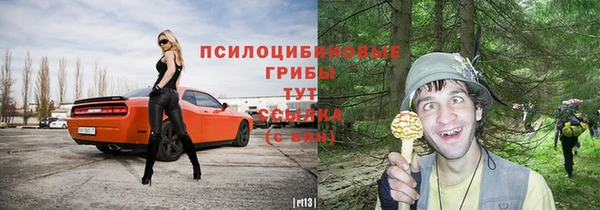 2c-b Михайловка