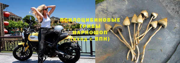 амф Михайловск